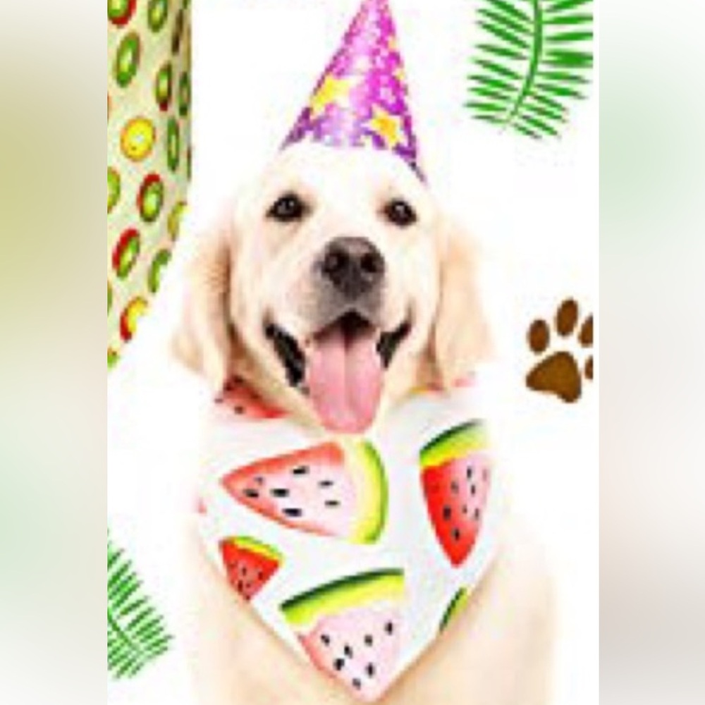 Frienda Dog bandanas Summer 12 Pieces washable fruit bandanas triangle